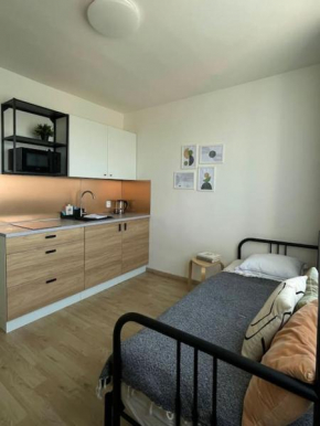 Modern apartment